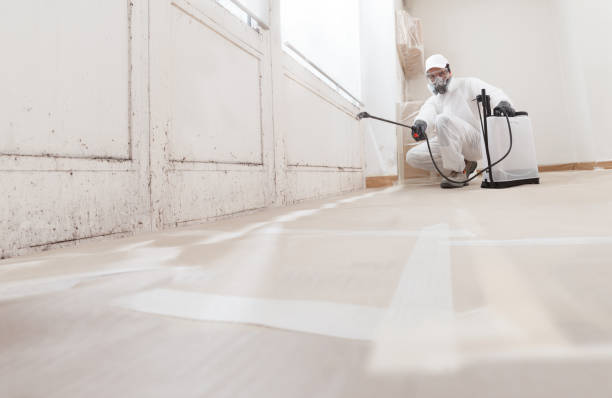 24/7 Emergency Mold Remediation experts in Wilsonville, OR